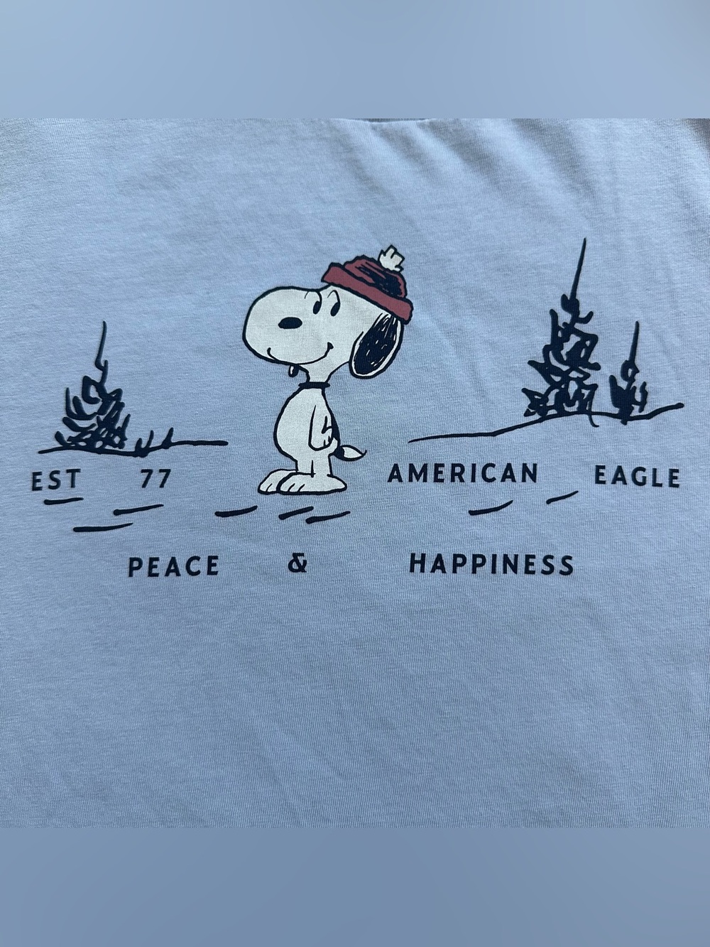 American Eagle Outfitters Kids Snoopy Tee - Light Blue with Red Beanie